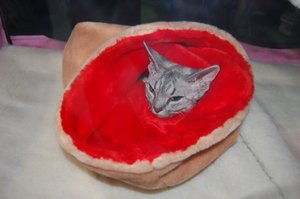 DSC_0831.JPG