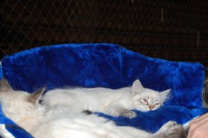 DSC_0832.JPG