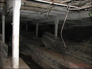Барвиха 17_10.jpg