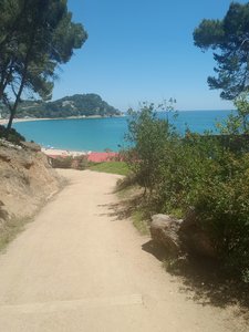 20190601_133158.jpg
