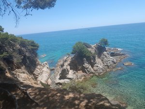20190601_133032.jpg