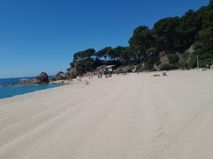 20190530_114048.jpg