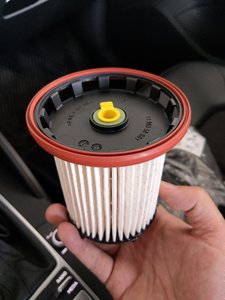 IMAG0304.jpg