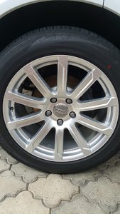 20190613_130151.jpg