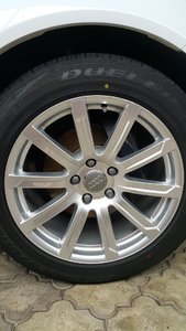 20190613_130211.jpg