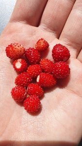 20190618_113507.jpg
