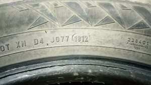 DSC_1021.JPG