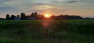 20190626_214125.jpg