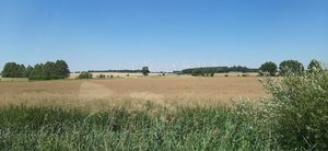 20190630_152019.jpg