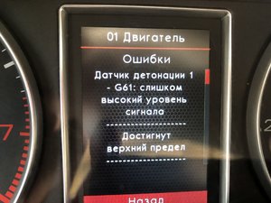 IMG_1978.JPG
