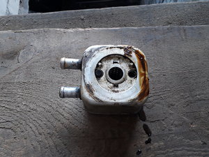 20190713_150006.jpg
