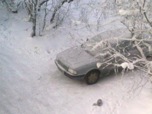 04012010060.jpg