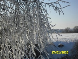 SAM_0396.JPG
