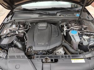IMG_20190801_161336.jpg