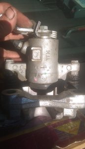 IMG_20190812_180158.jpg