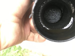 IMG_7673.jpg