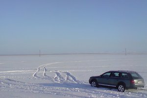 003.JPG