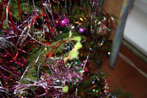 IMG_6220.JPG