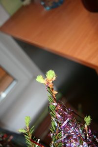 IMG_6221.JPG