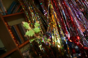 IMG_6222.JPG