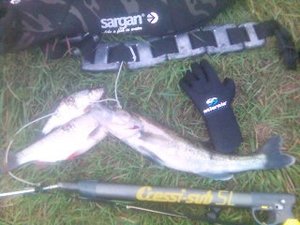 IMG_0118.JPG