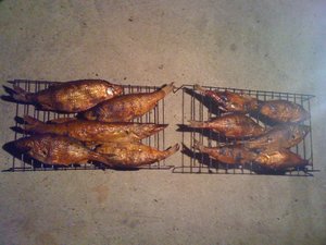 IMG_0120.jpg