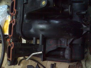 27012010071.jpg