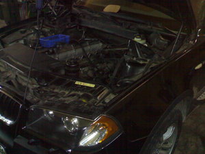 27012010073.jpg