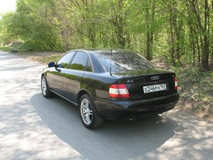 img_5484_392_954.jpg