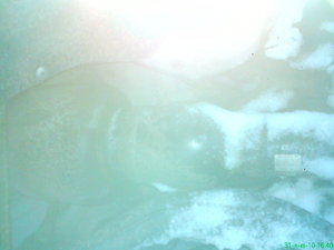 DSC00479.JPG