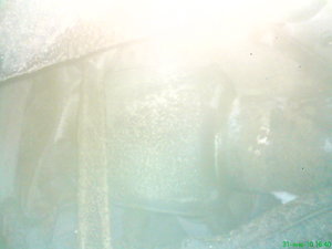 DSC00480.JPG