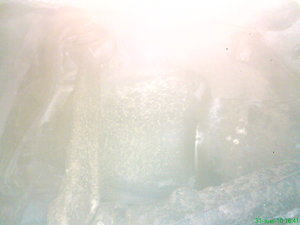 DSC00481.JPG