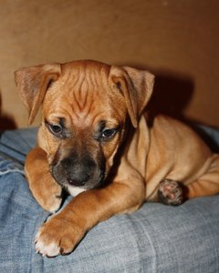 IMG_0642.JPG
