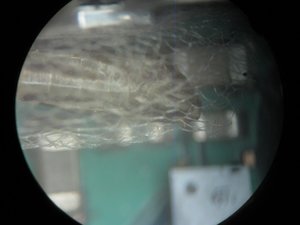 IMG_0019.jpg