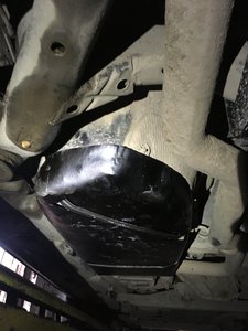 IMG_3979.JPG