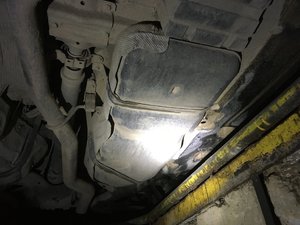 IMG_3892.JPG