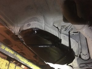 IMG_4049.JPG