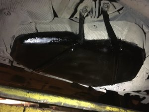 IMG_4050.JPG