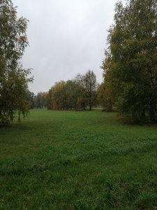IMG_20190929_154348.jpg