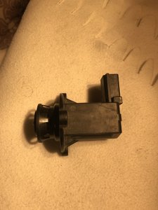 IMG_0963.jpg