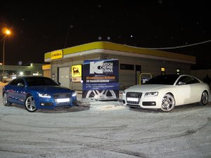 IMG_1530.jpg