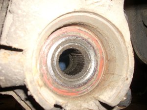 DSCN2083.jpg