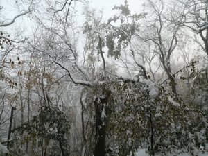 IMG_20191104_162012.jpg