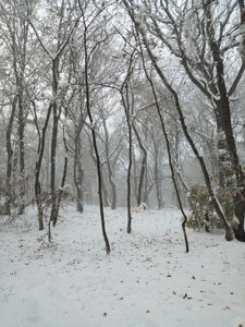 IMG_20191104_161818.jpg