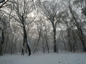 IMG_20191104_161732.jpg