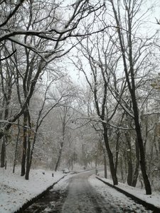 IMG_20191104_161928.jpg