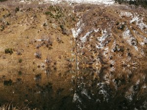 IMG_20191103_123754.jpg