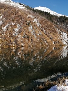IMG_20191103_123808.jpg