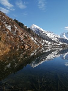 IMG_20191103_124531.jpg