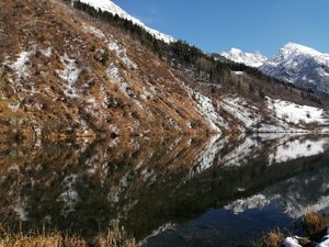 IMG_20191103_123954.jpg